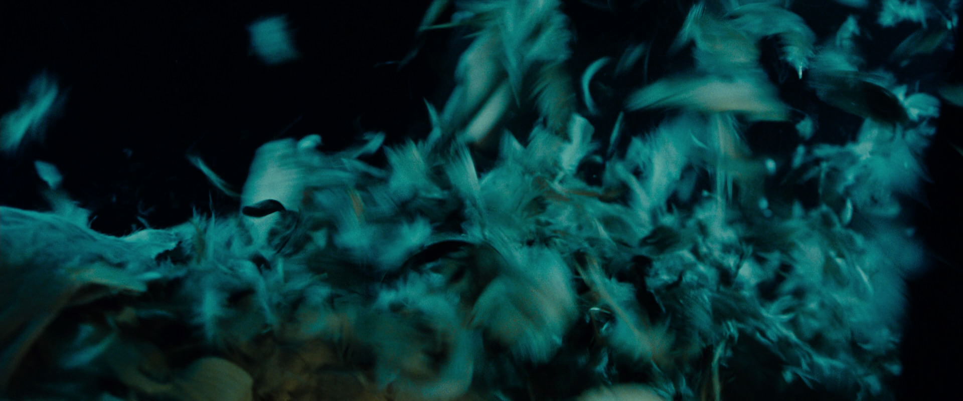 The Lord of the Rings: The Fellowship of the Ring (2001) screencap 7503