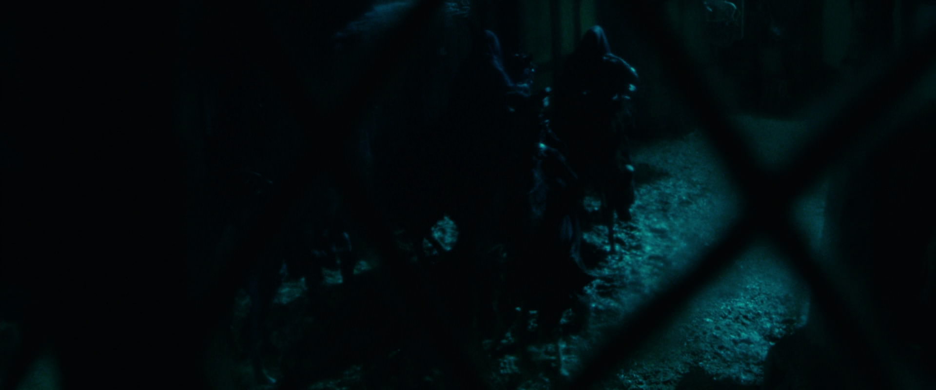 The Lord of the Rings: The Fellowship of the Ring (2001) screencap 7569