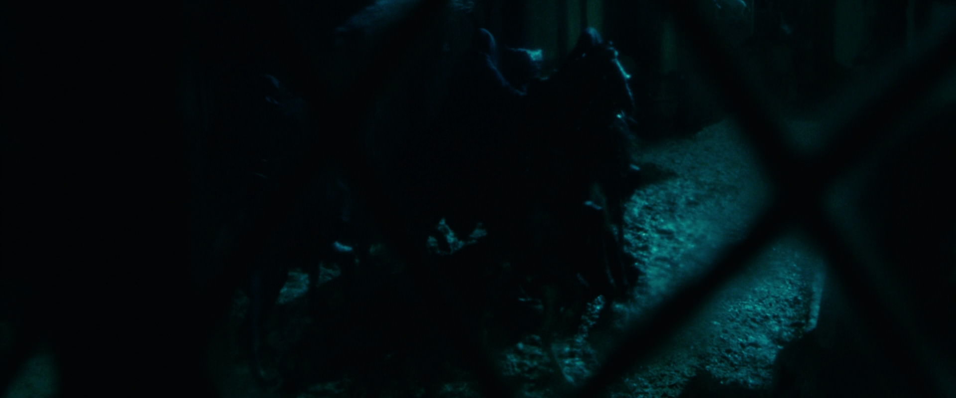 The Lord of the Rings: The Fellowship of the Ring (2001) movie still 7570