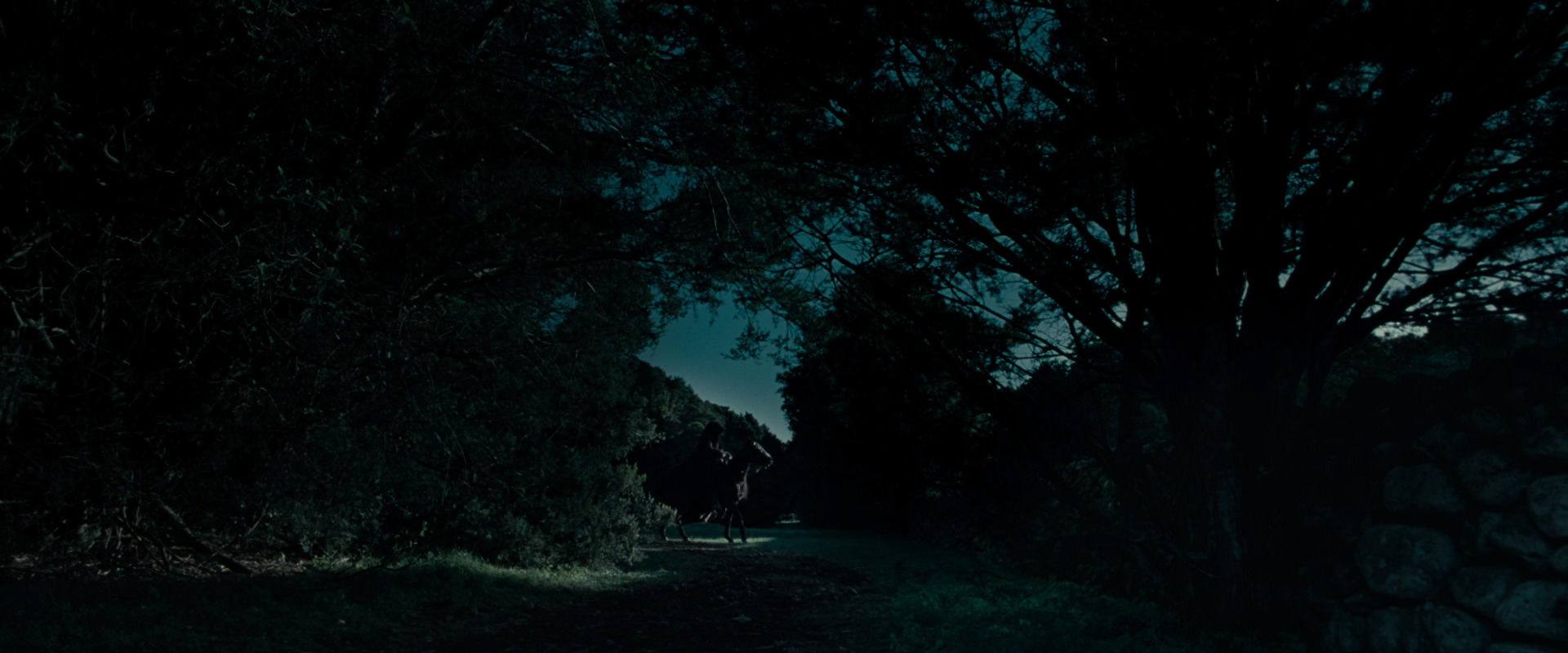 The Lord of the Rings: The Fellowship of the Ring (2001) movie still 7594