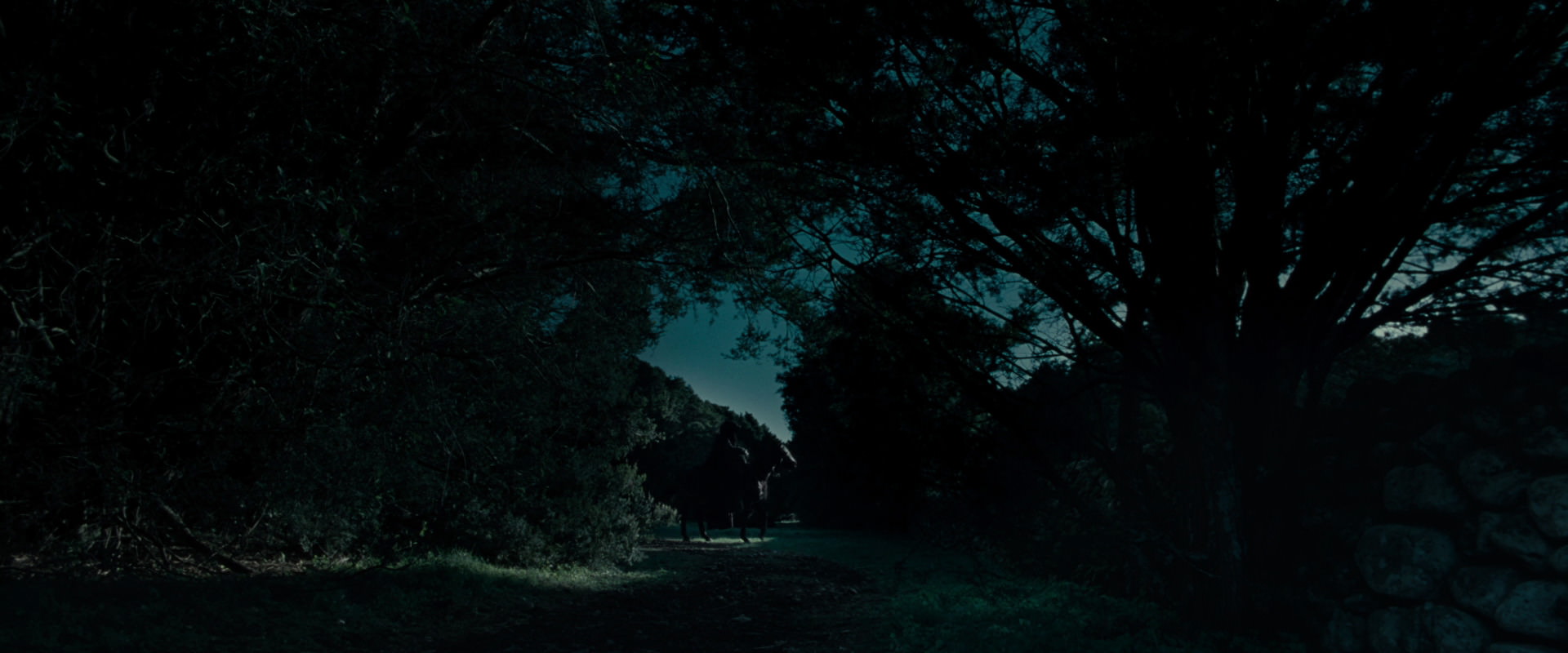 The Lord of the Rings: The Fellowship of the Ring (2001) screencap 7596