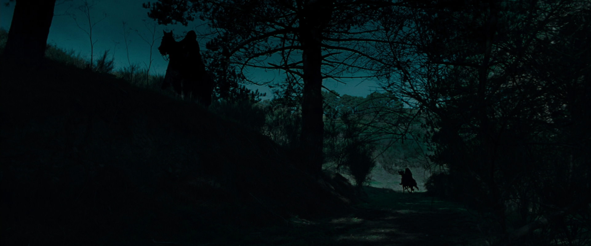 The Lord of the Rings: The Fellowship of the Ring (2001) movie still 7603