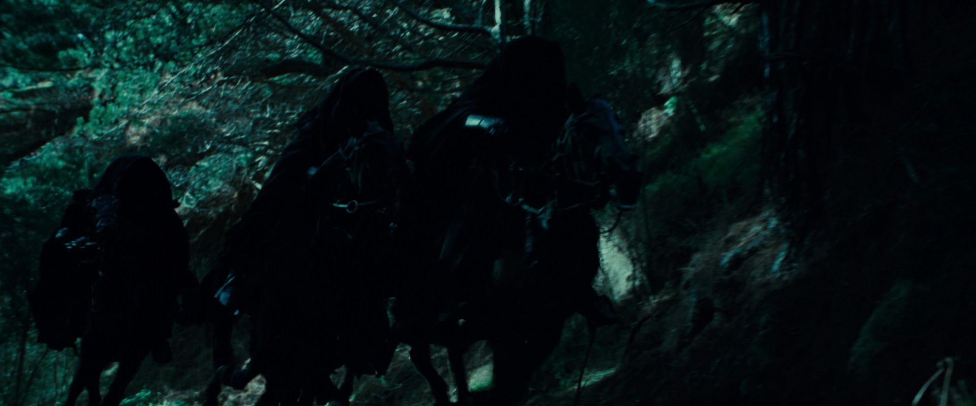 The Lord of the Rings: The Fellowship of the Ring (2001) movie still 7621