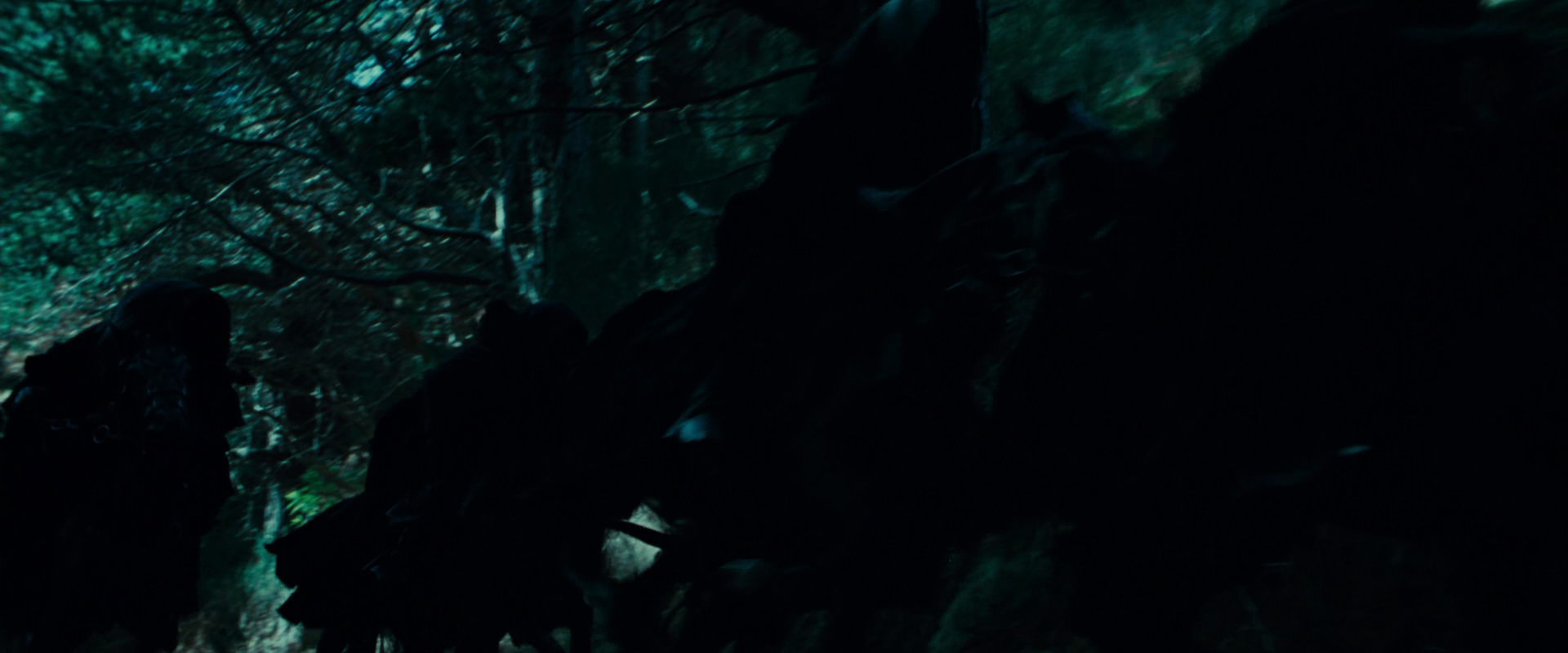 The Lord of the Rings: The Fellowship of the Ring (2001) screencap 7623