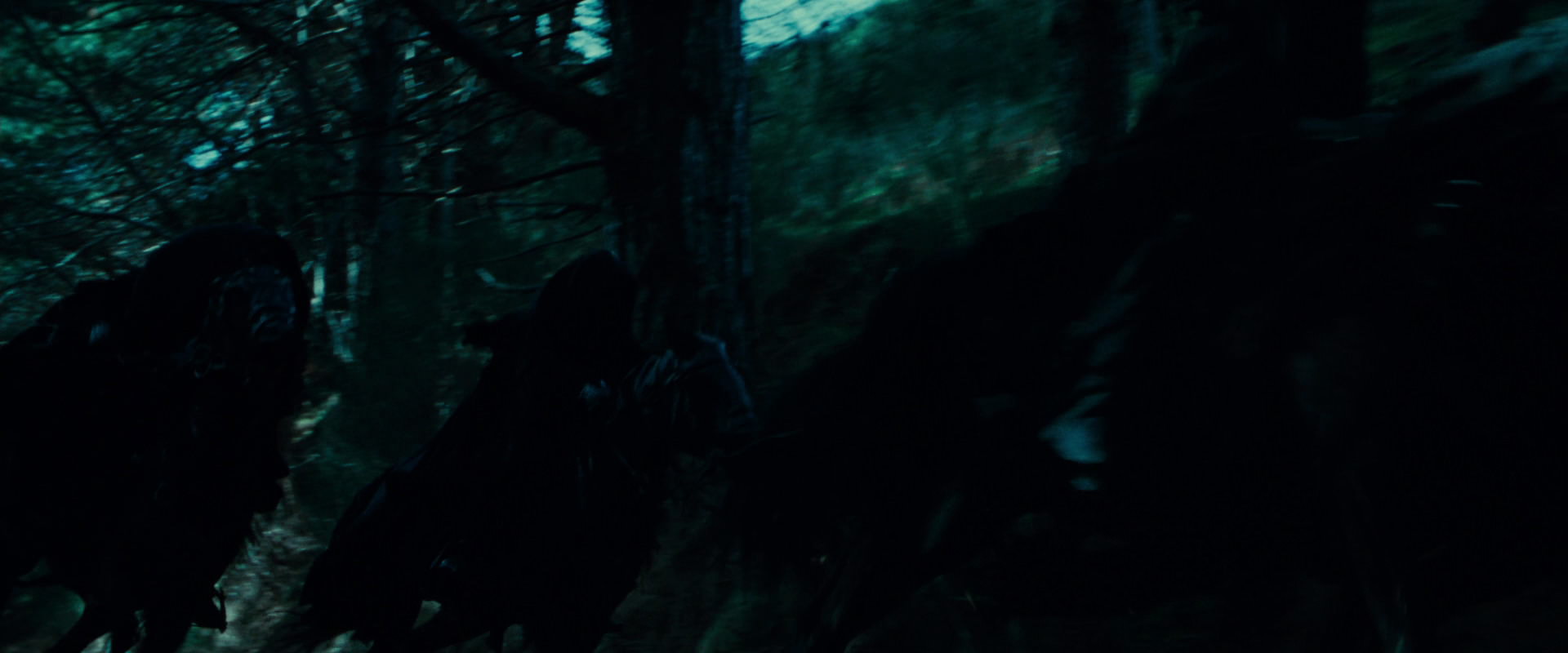 The Lord of the Rings: The Fellowship of the Ring (2001) movie still 7624