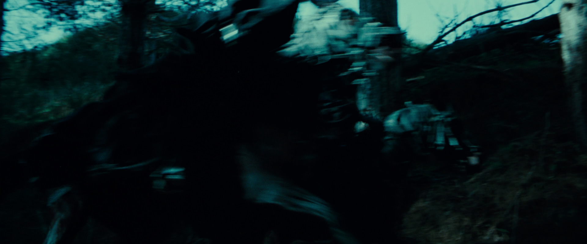 The Lord of the Rings: The Fellowship of the Ring (2001) screencap 7626