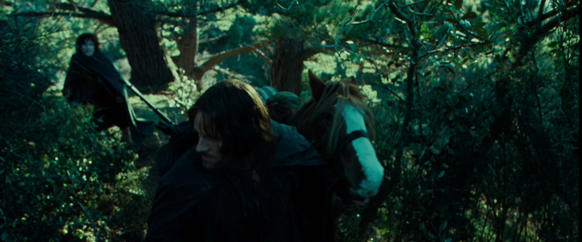 The Lord of the Rings: The Fellowship of the Ring (2001) HD screenshot 7628