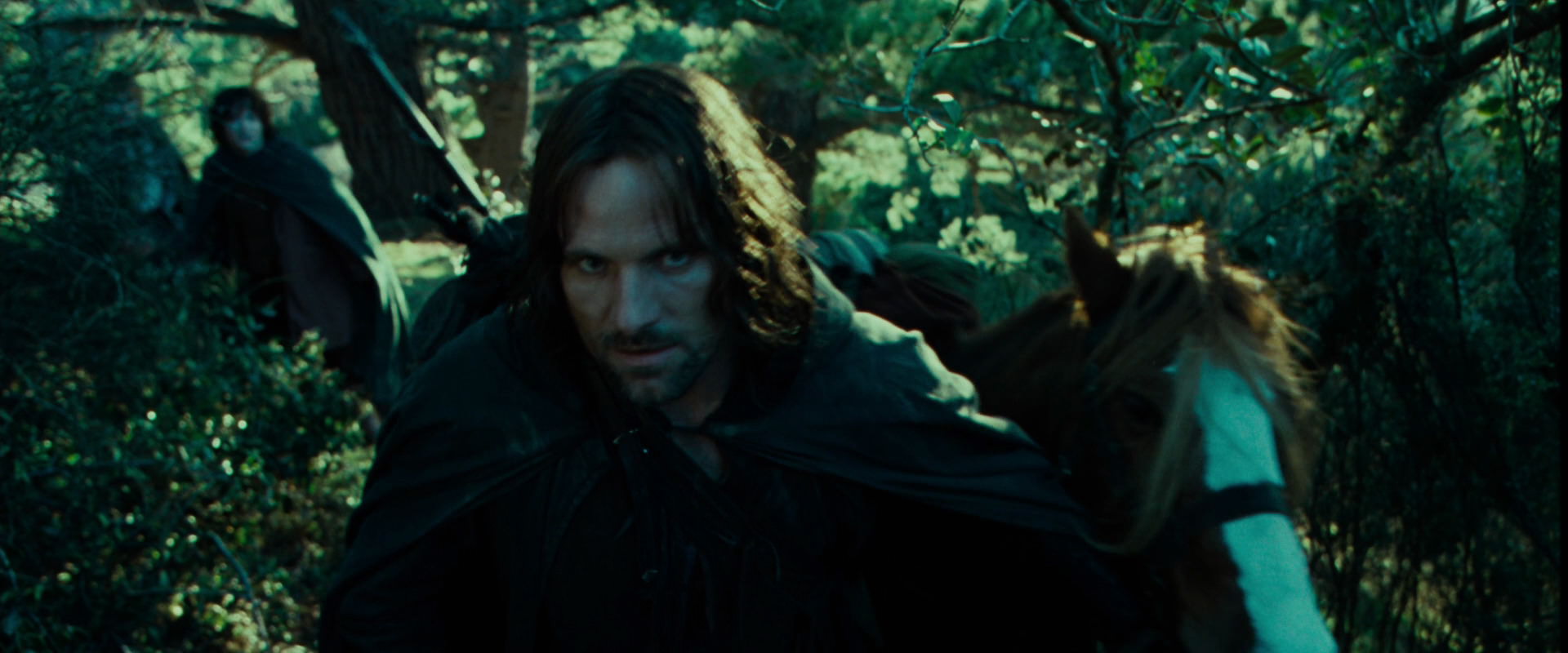 The Lord of the Rings: The Fellowship of the Ring (2001) screencap 7629
