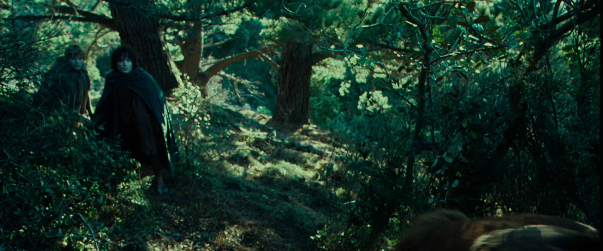 The Lord of the Rings: The Fellowship of the Ring (2001) screencap 7632