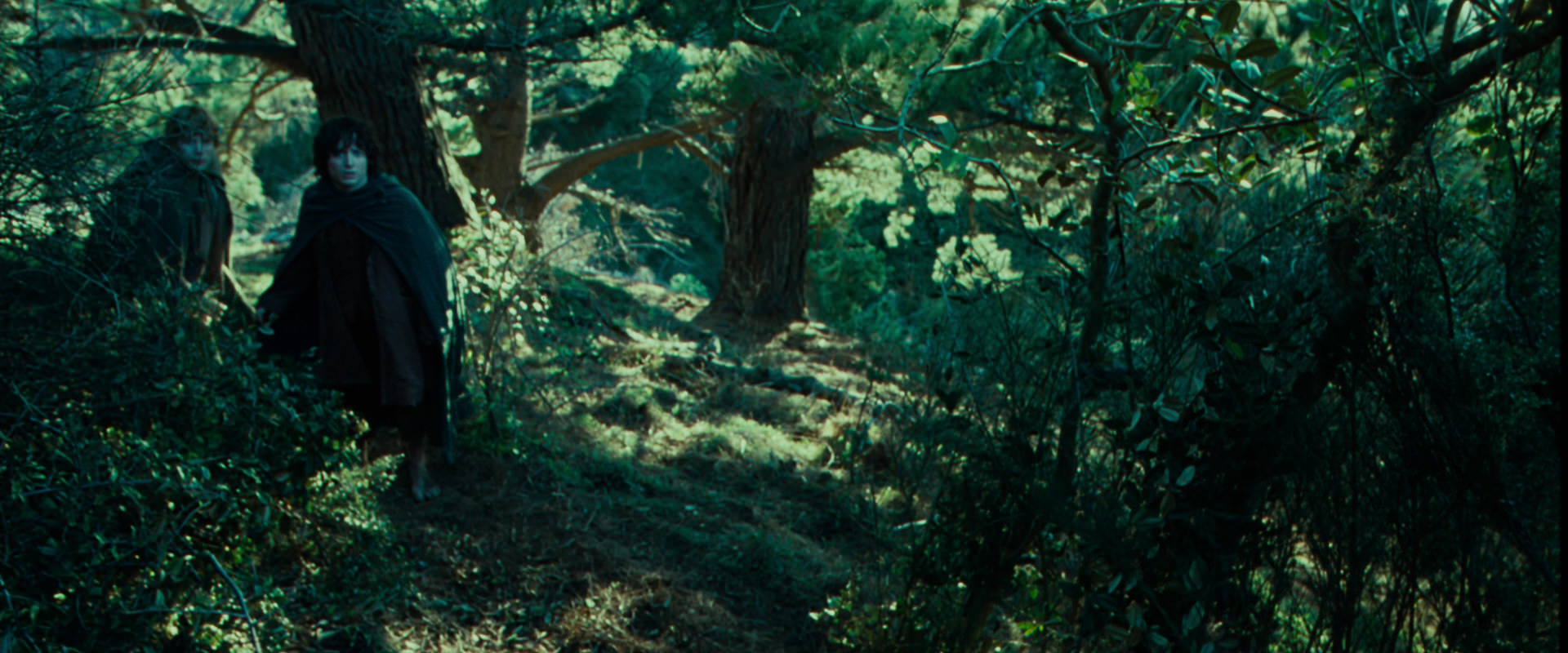The Lord of the Rings: The Fellowship of the Ring (2001) movie still 7633