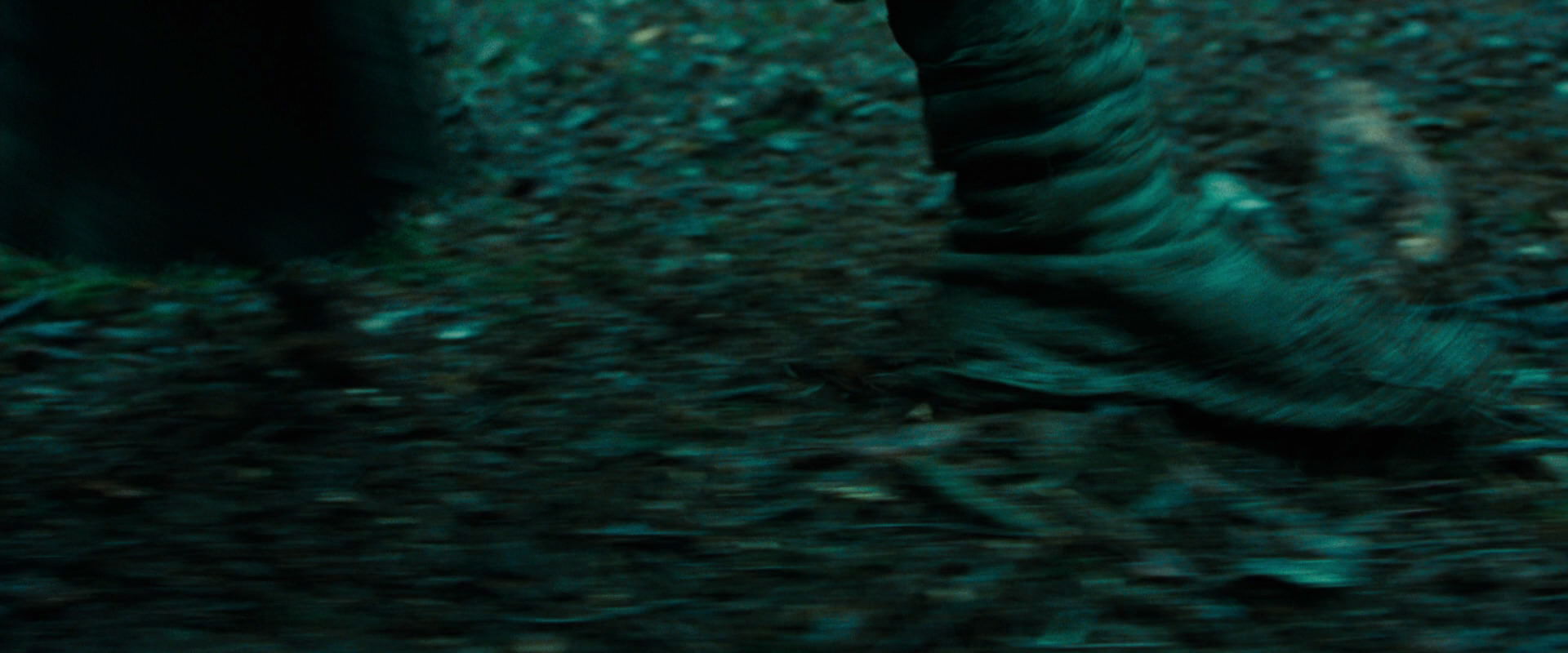 The Lord of the Rings: The Fellowship of the Ring (2001) HD screenshot 7634