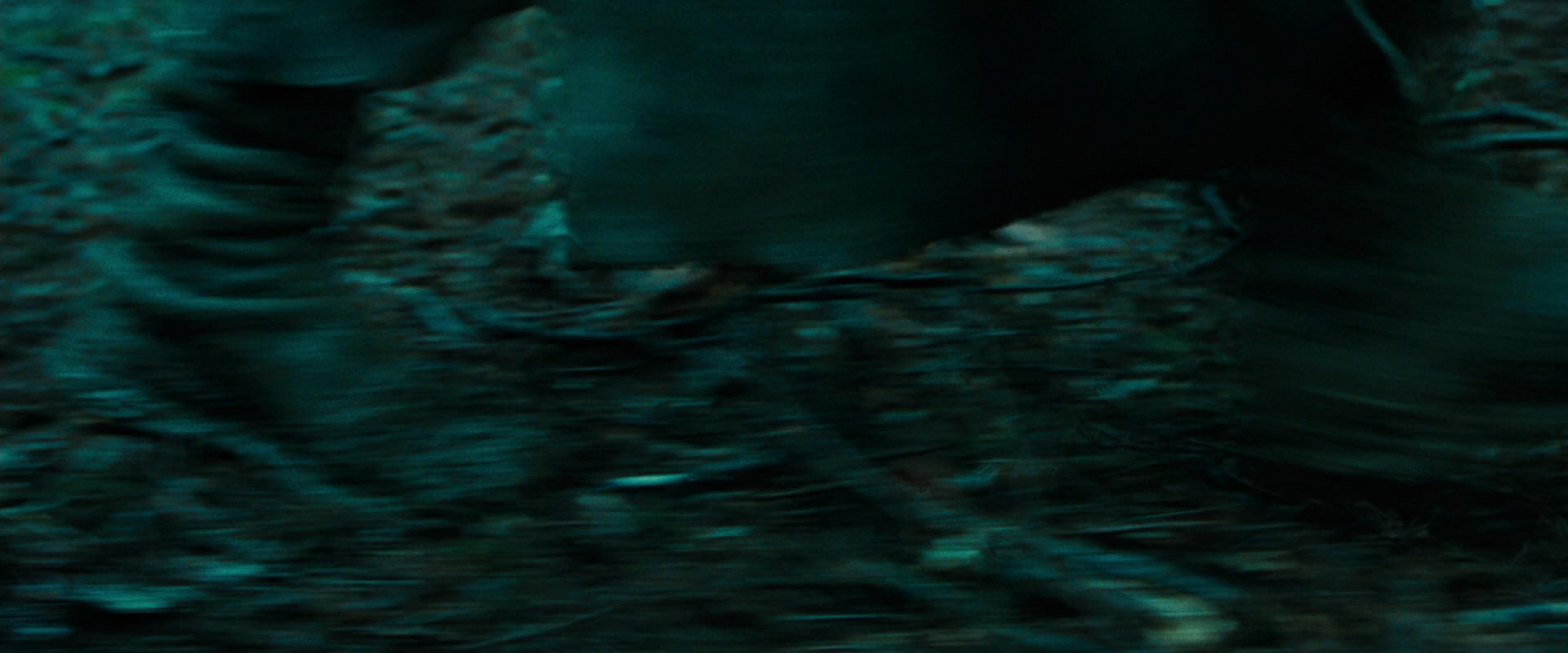 The Lord of the Rings: The Fellowship of the Ring (2001) screencap 7635
