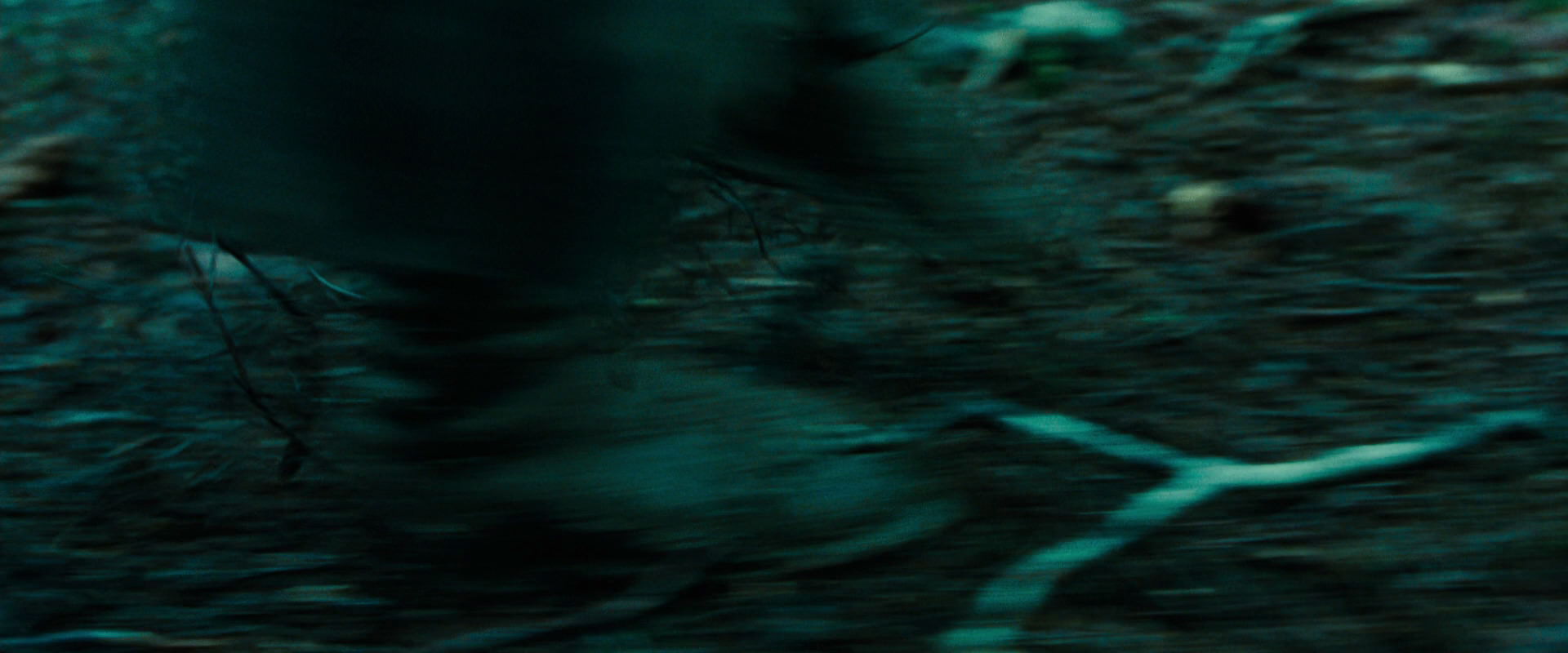 The Lord of the Rings: The Fellowship of the Ring (2001) movie still 7636