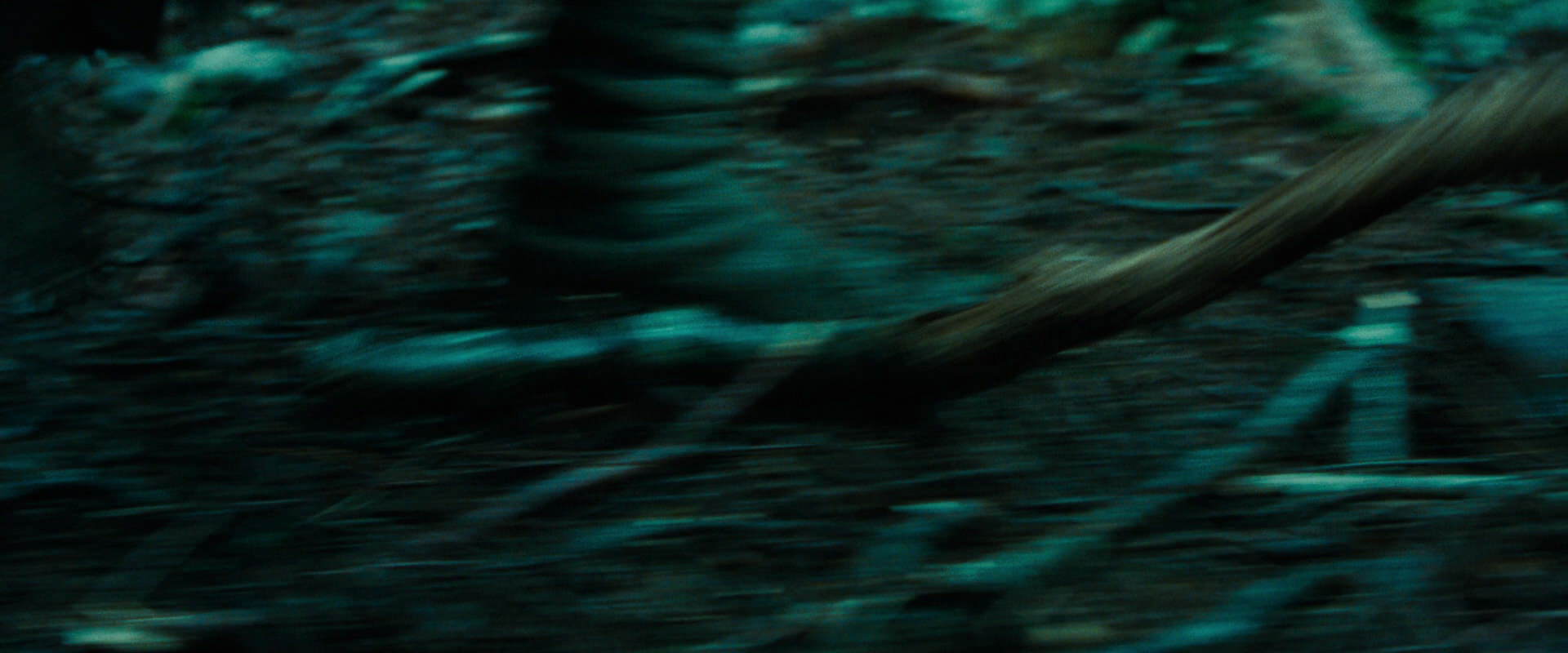 The Lord of the Rings: The Fellowship of the Ring (2001) HD screenshot 7637