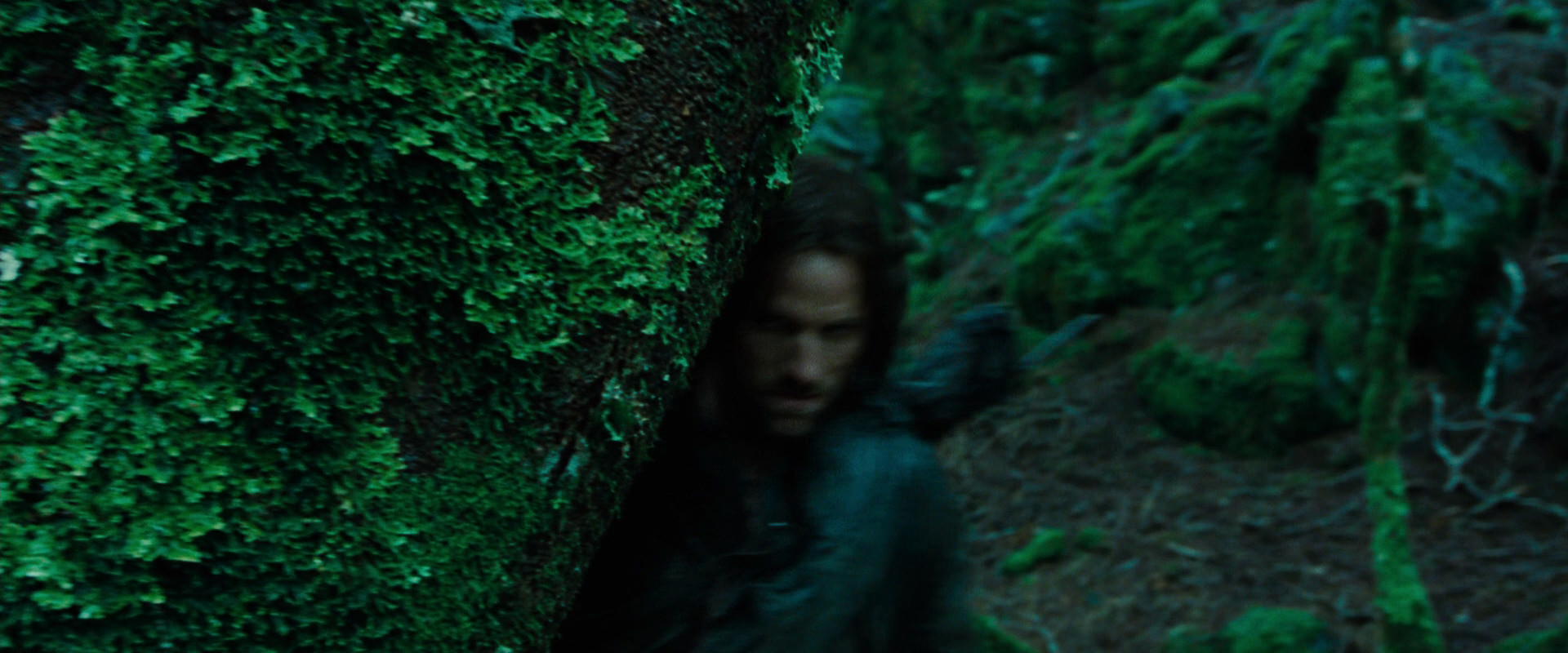 The Lord of the Rings: The Fellowship of the Ring (2001) screencap 7638