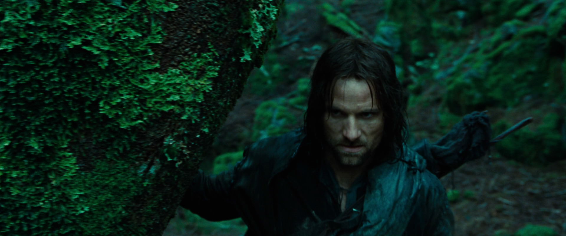 The Lord of the Rings: The Fellowship of the Ring (2001) movie still 7639