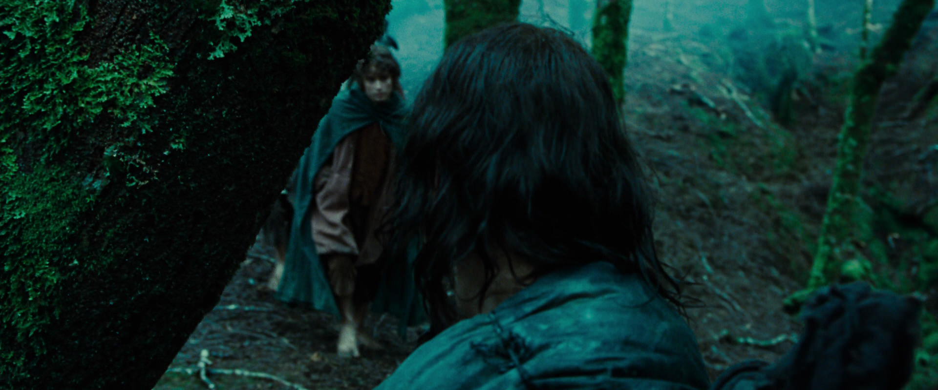 The Lord of the Rings: The Fellowship of the Ring (2001) movie still 7645