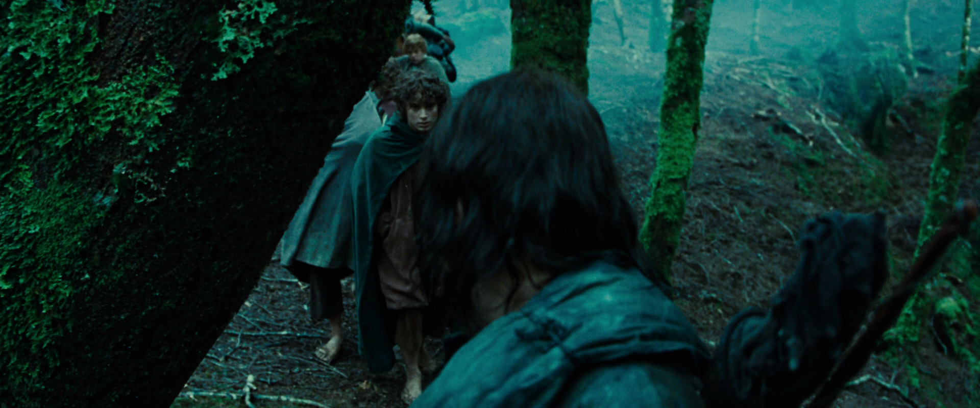 The Lord of the Rings: The Fellowship of the Ring (2001) HD screenshot 7646