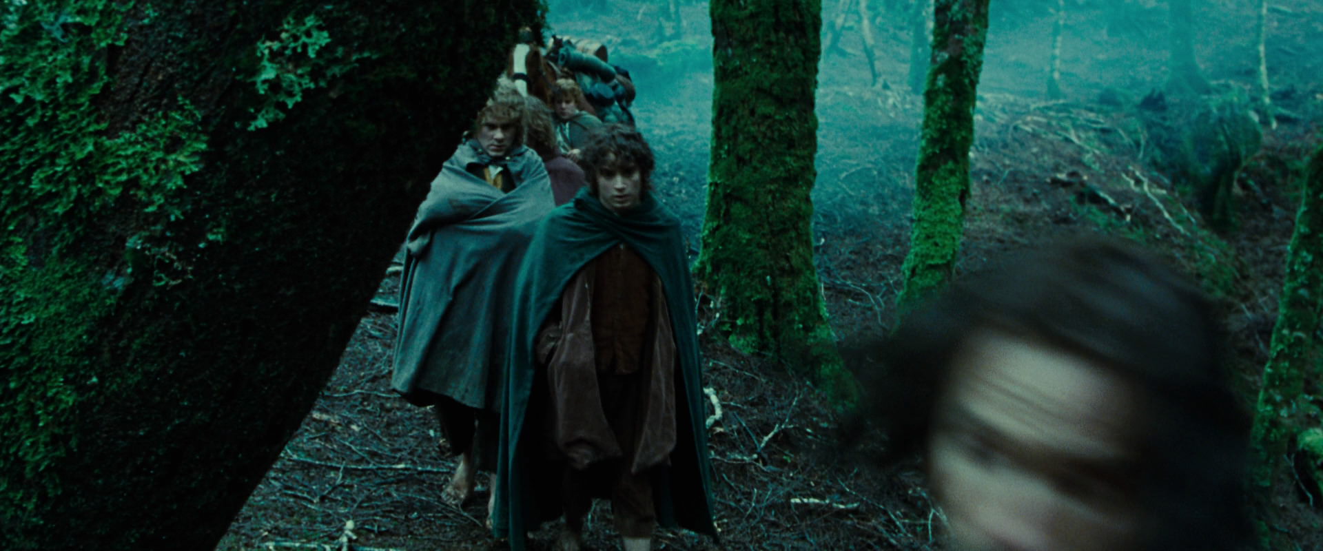 The Lord of the Rings: The Fellowship of the Ring (2001) screencap 7647
