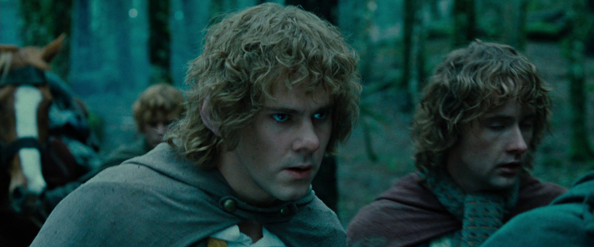 The Lord of the Rings: The Fellowship of the Ring (2001) movie still 7648