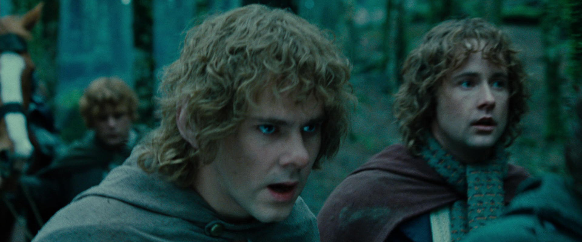 The Lord of the Rings: The Fellowship of the Ring (2001) HD screenshot 7649