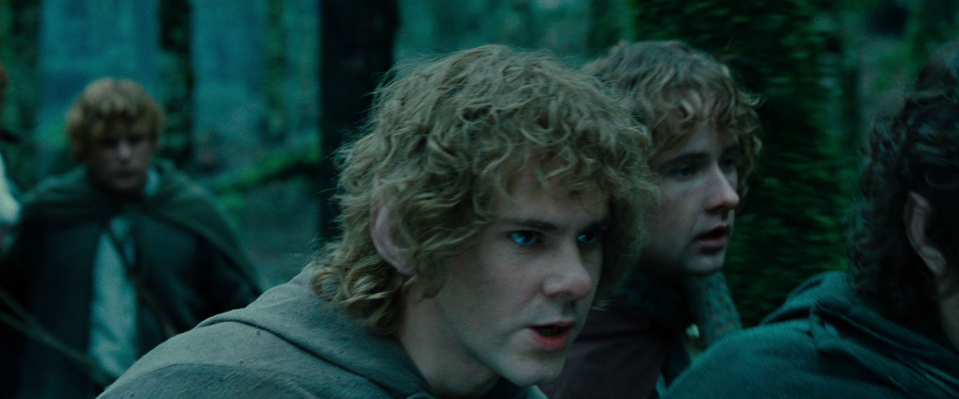 The Lord of the Rings: The Fellowship of the Ring (2001) screencap 7650