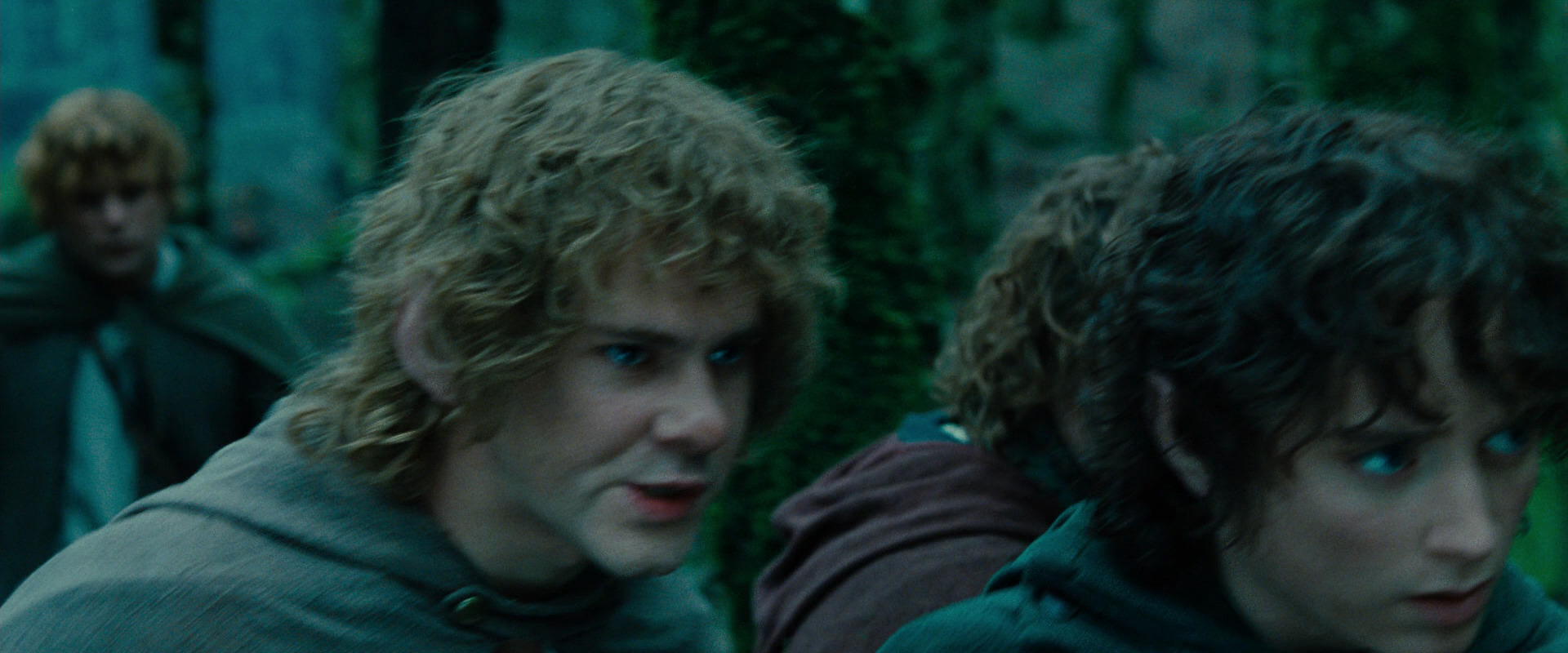 The Lord of the Rings: The Fellowship of the Ring (2001) movie still 7651