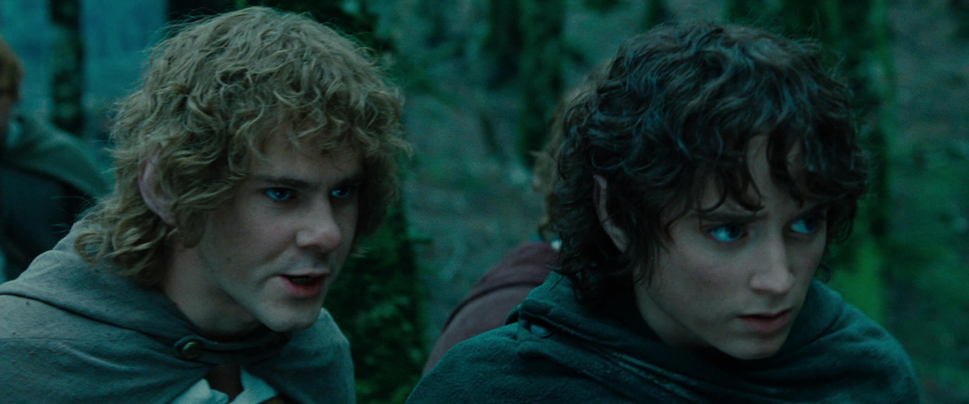 The Lord of the Rings: The Fellowship of the Ring (2001) HD screenshot 7652