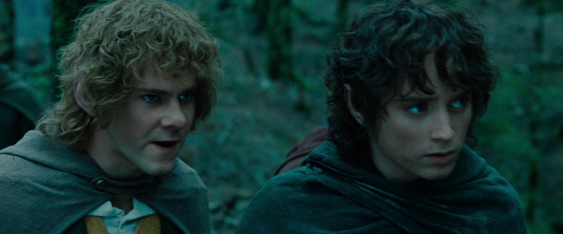 The Lord of the Rings: The Fellowship of the Ring (2001) screencap 7653