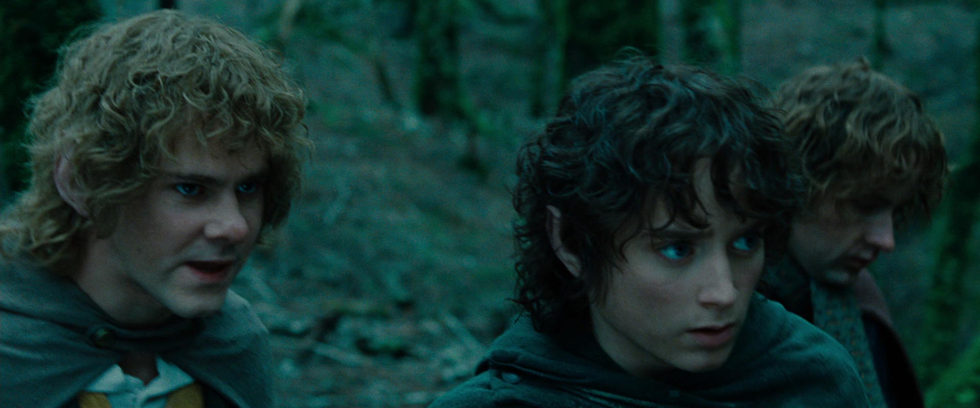 The Lord of the Rings: The Fellowship of the Ring (2001) movie still 7654