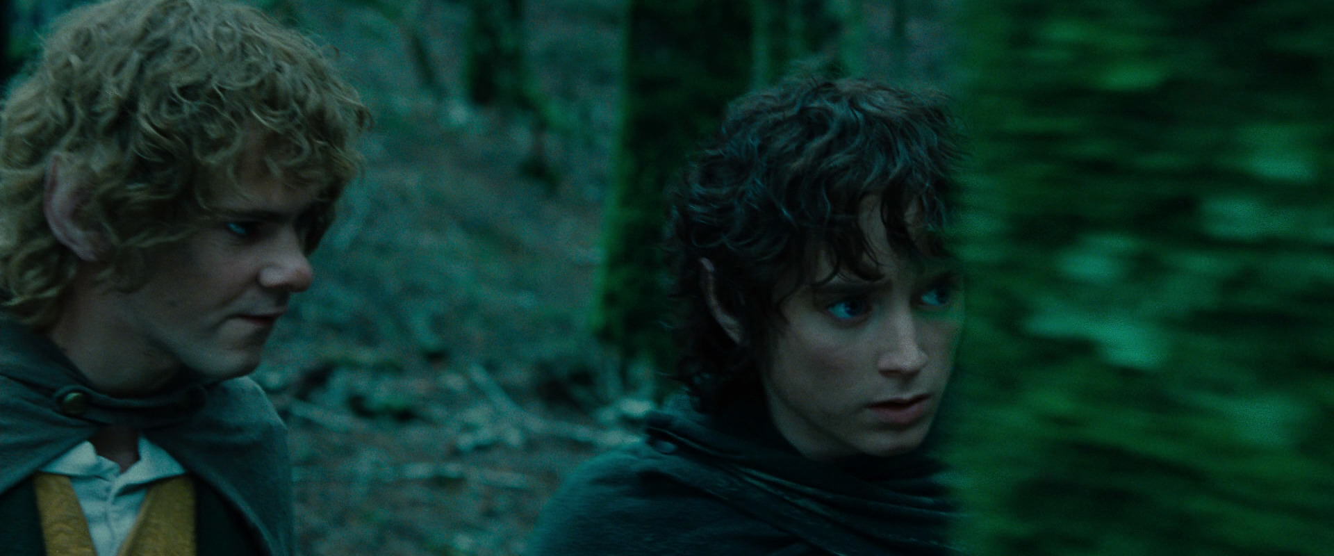 The Lord of the Rings: The Fellowship of the Ring (2001) HD screenshot 7655