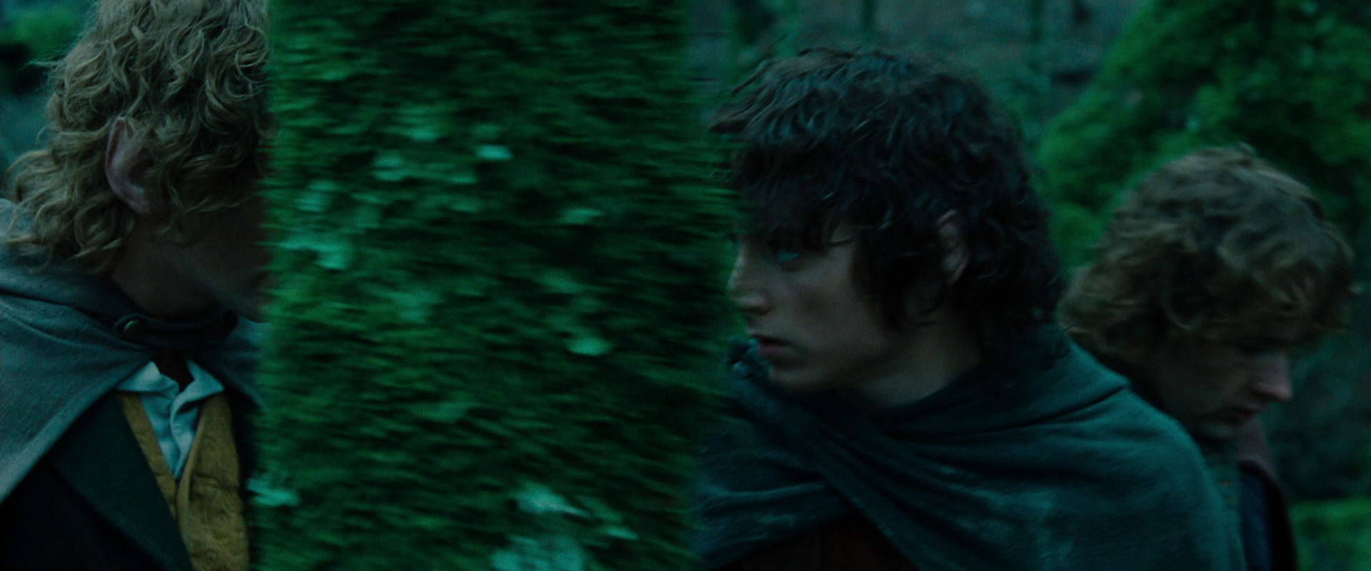 The Lord of the Rings: The Fellowship of the Ring (2001) screencap 7656