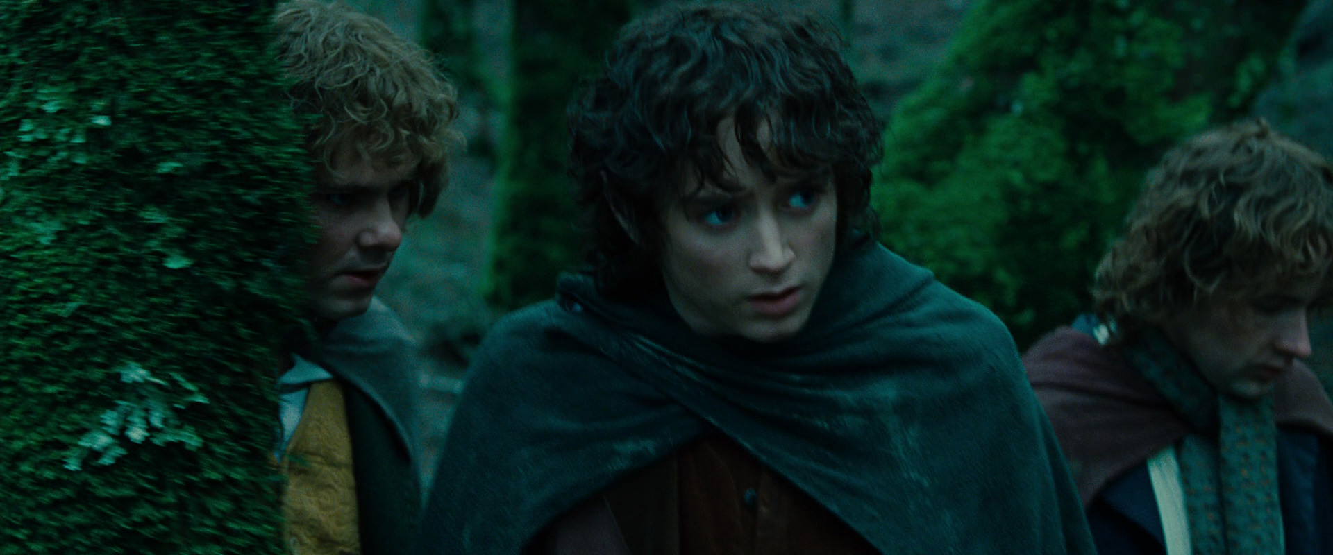 The Lord of the Rings: The Fellowship of the Ring (2001) movie still 7657