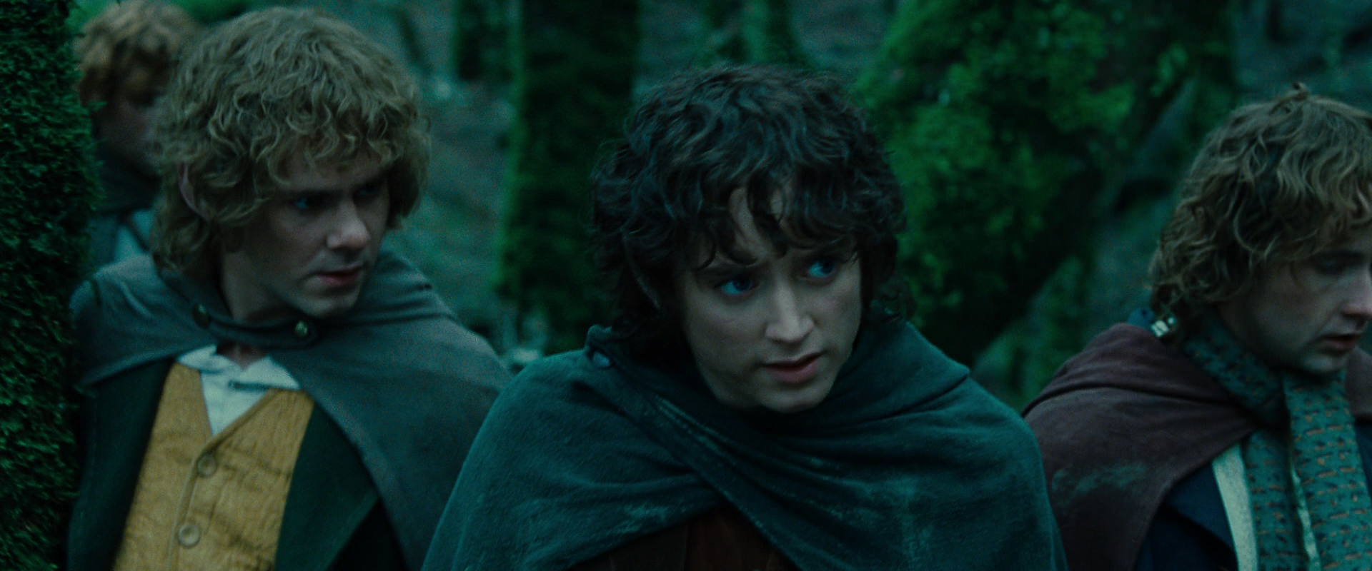The Lord of the Rings: The Fellowship of the Ring (2001) HD screenshot 7658