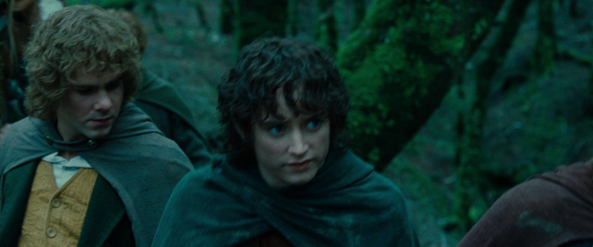 The Lord of the Rings: The Fellowship of the Ring (2001) screencap 7659