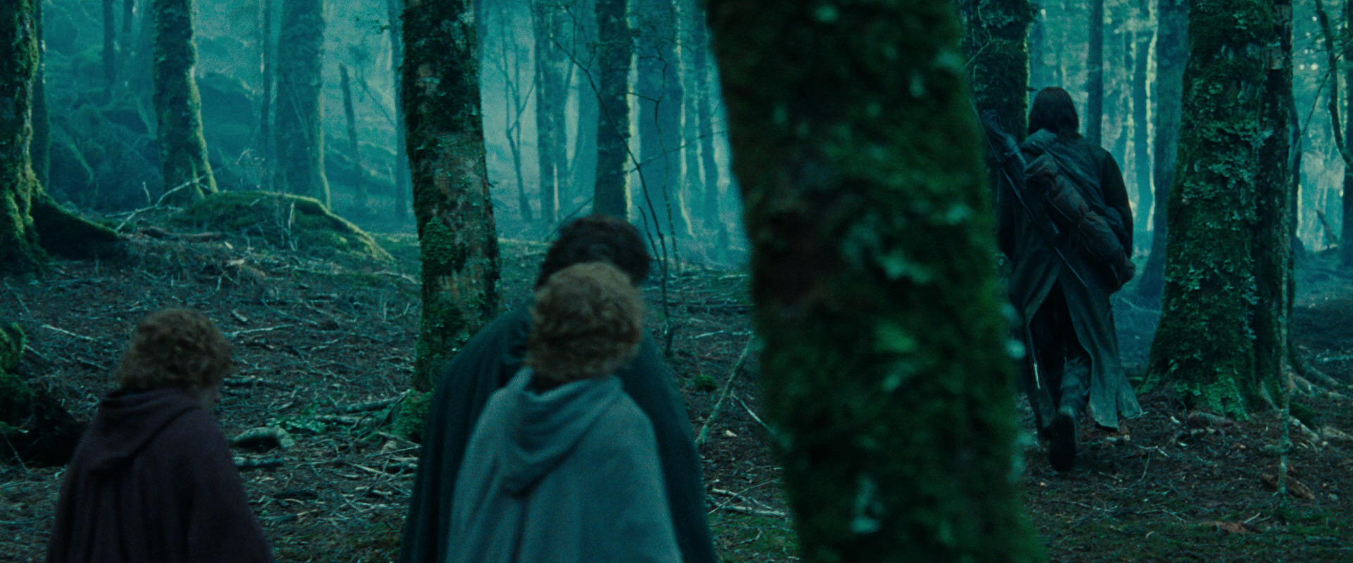 The Lord of the Rings: The Fellowship of the Ring (2001) movie still 7660