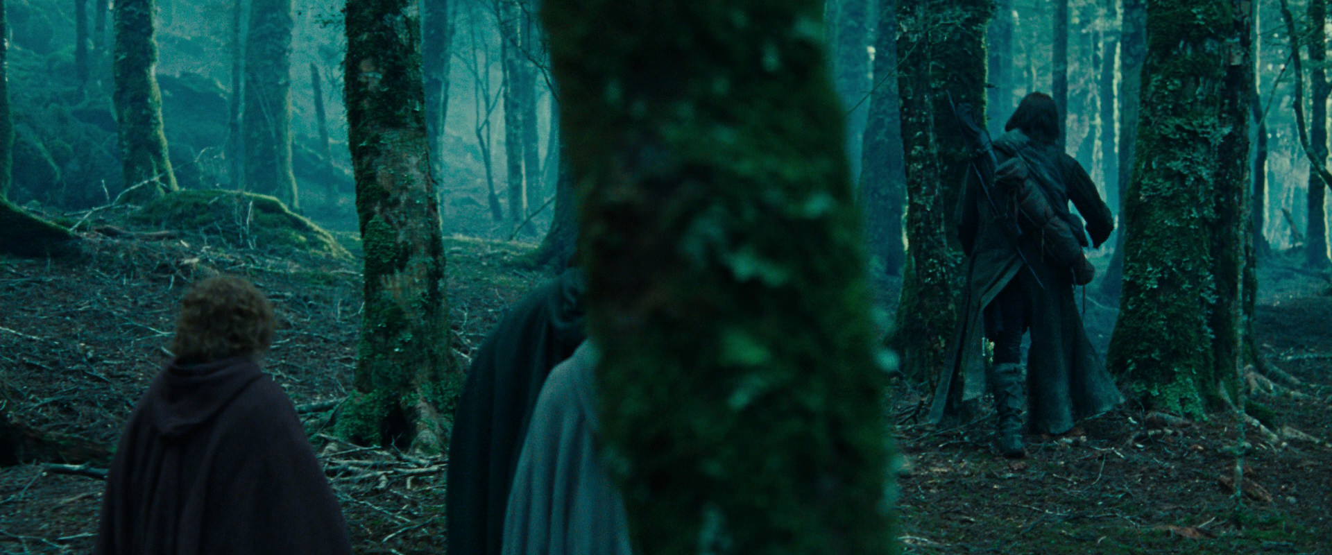 The Lord of the Rings: The Fellowship of the Ring (2001) HD screenshot 7661