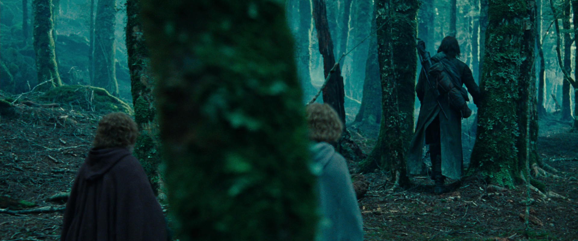 The Lord of the Rings: The Fellowship of the Ring (2001) screencap 7662