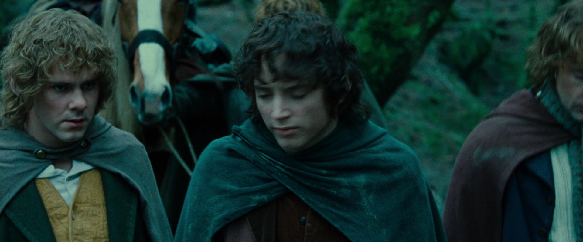 The Lord of the Rings: The Fellowship of the Ring (2001) HD screenshot 7664