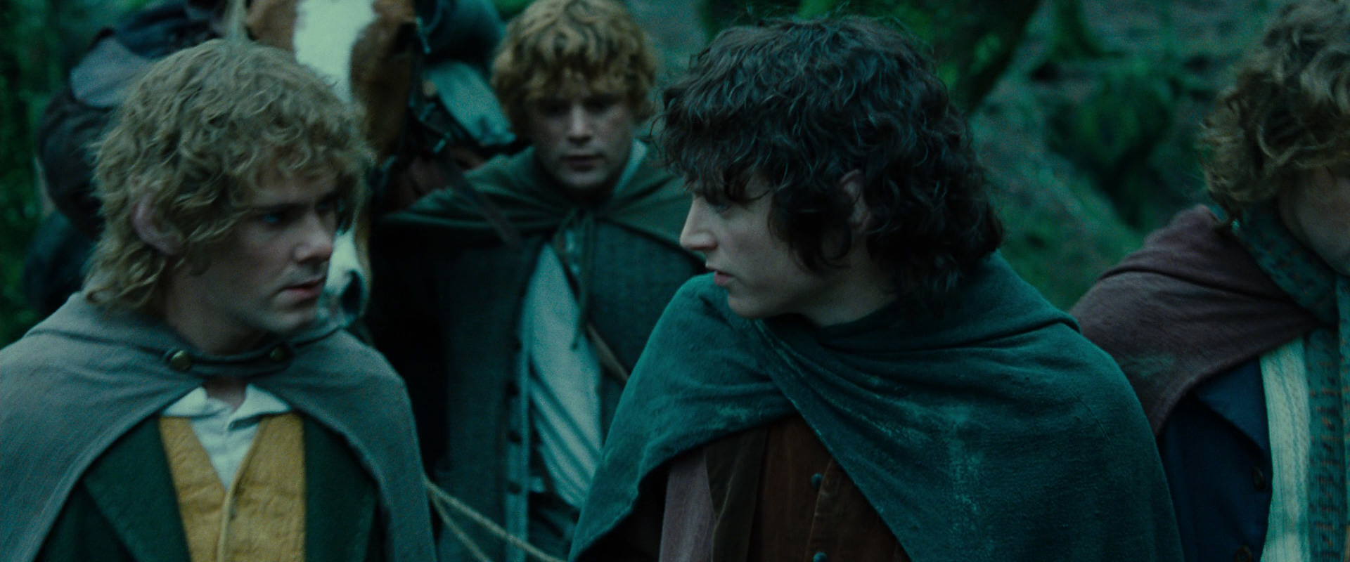The Lord of the Rings: The Fellowship of the Ring (2001) screencap 7665