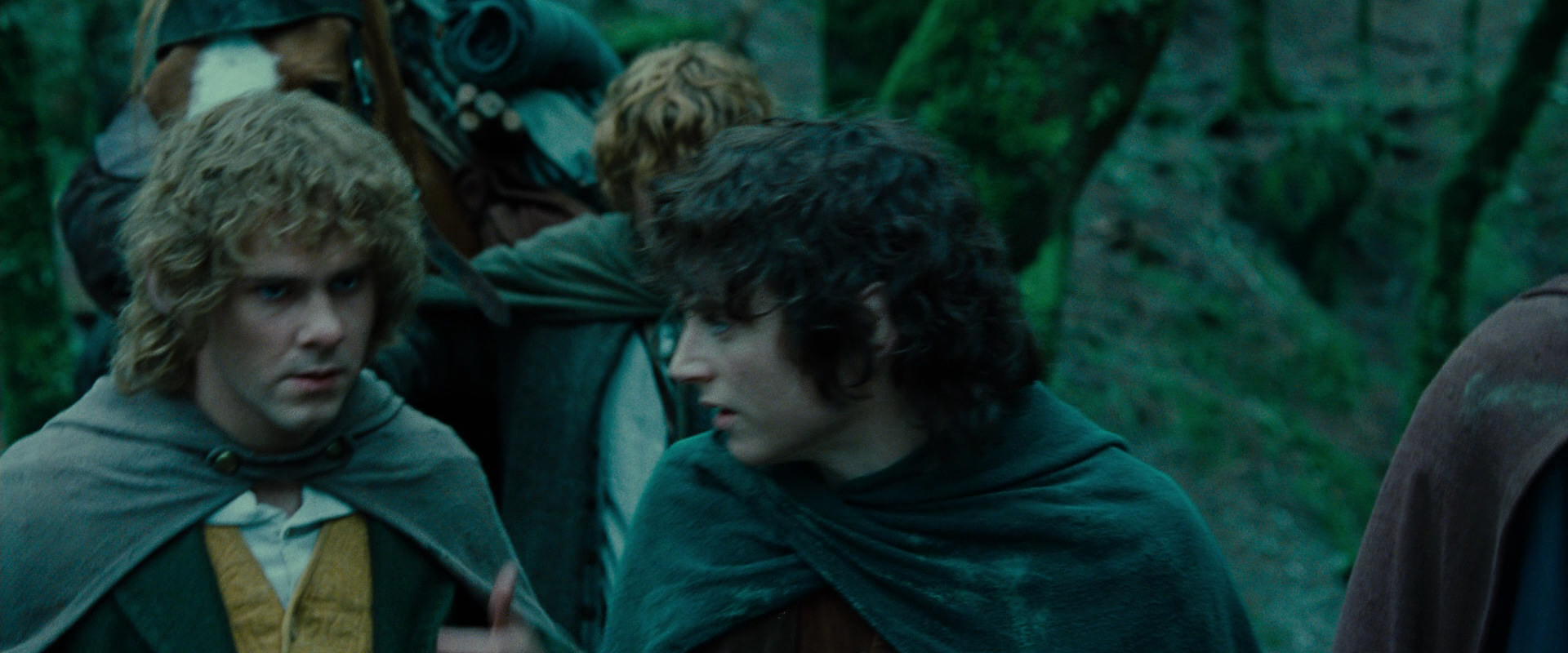 The Lord of the Rings: The Fellowship of the Ring (2001) movie still 7666