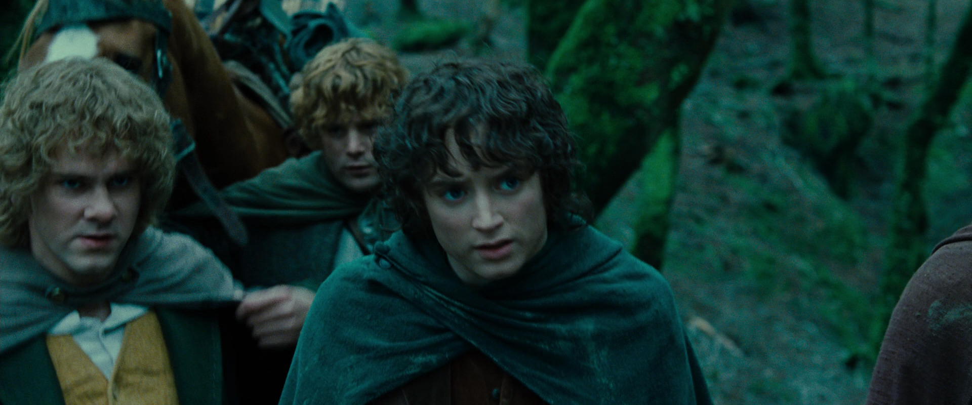 The Lord of the Rings: The Fellowship of the Ring (2001) HD screenshot 7667