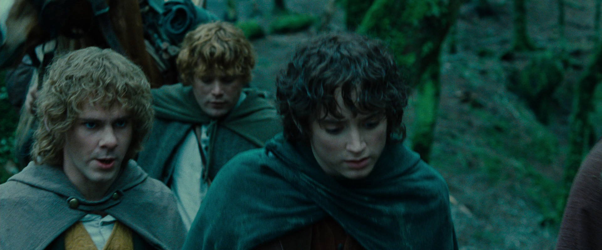 The Lord of the Rings: The Fellowship of the Ring (2001) screencap 7668