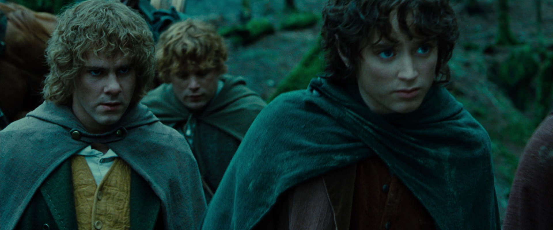 The Lord of the Rings: The Fellowship of the Ring (2001) HD screenshot 7673