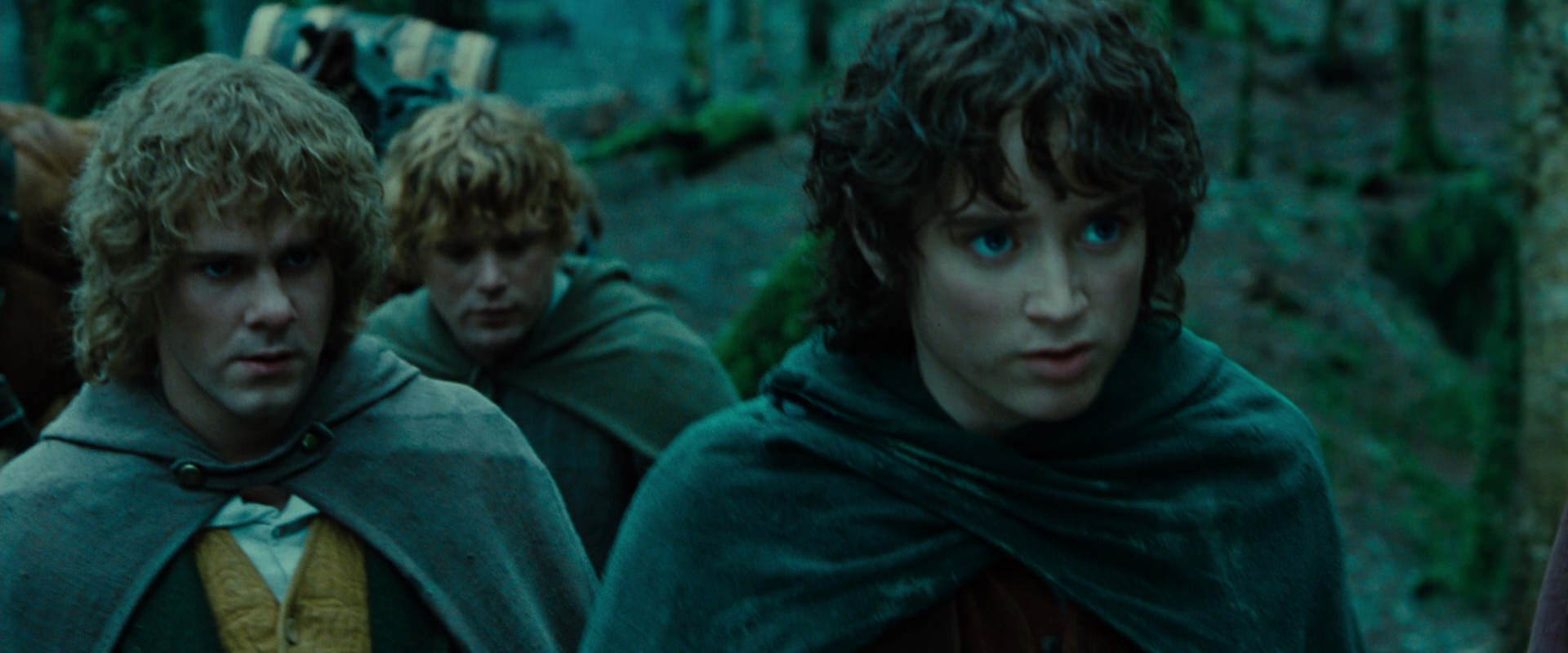 The Lord of the Rings: The Fellowship of the Ring (2001) screencap 7674