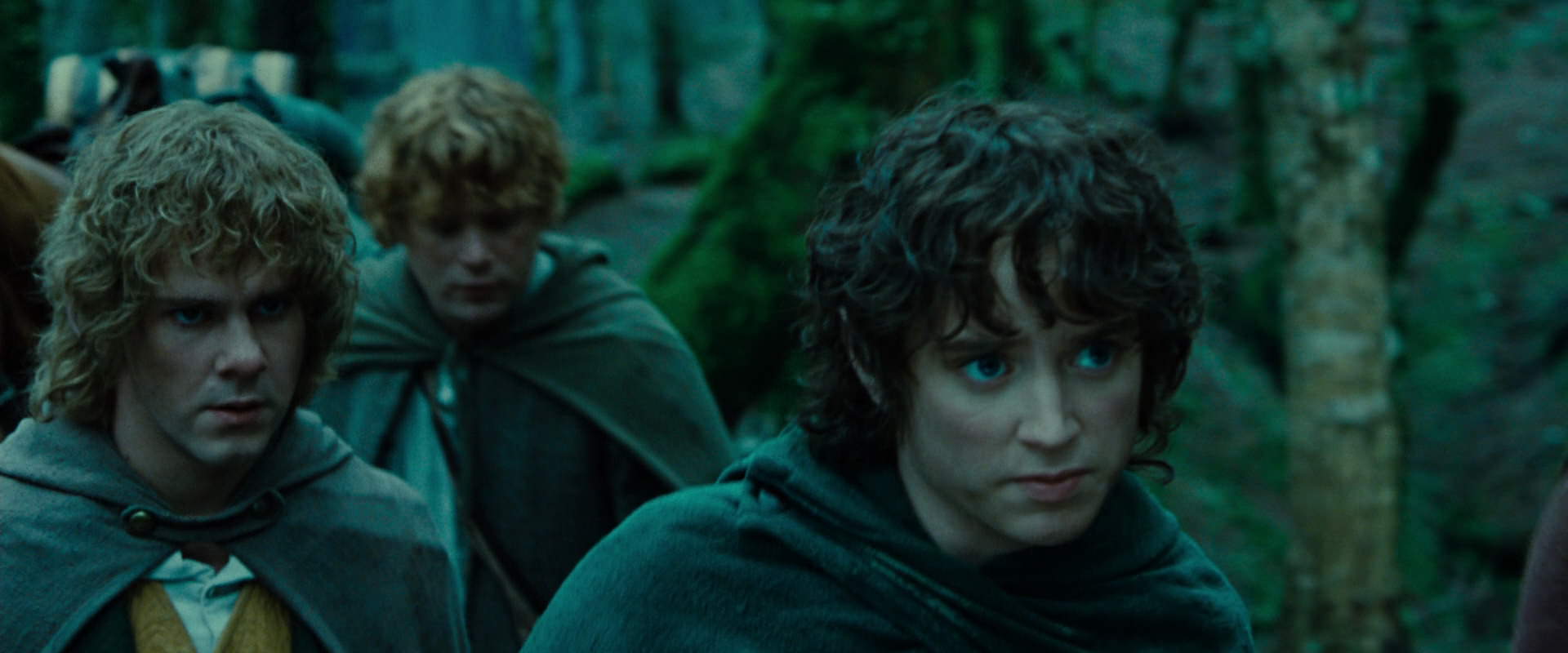 The Lord of the Rings: The Fellowship of the Ring (2001) movie still 7675