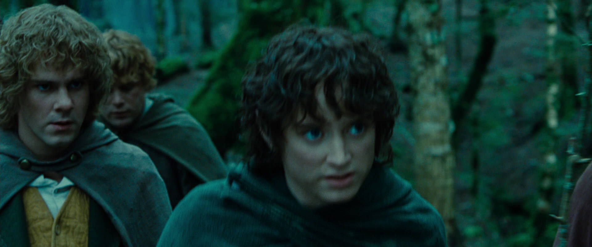 The Lord of the Rings: The Fellowship of the Ring (2001) HD screenshot 7676