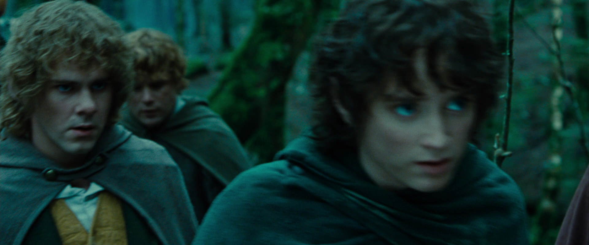 The Lord of the Rings: The Fellowship of the Ring (2001) screencap 7677
