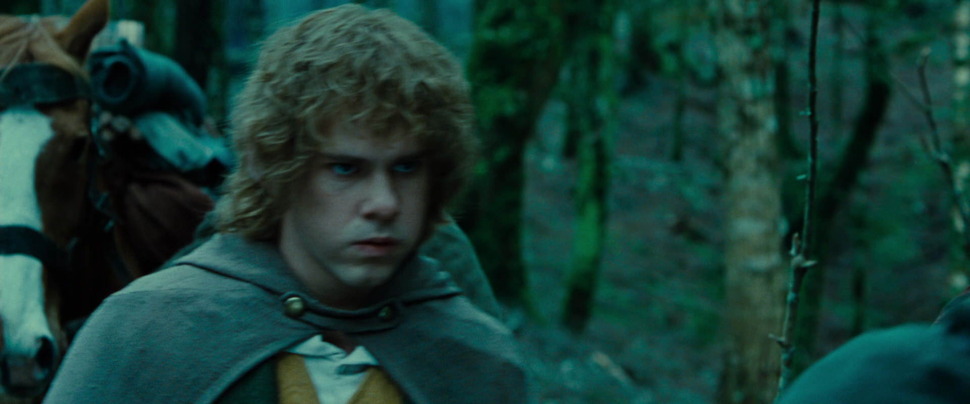 The Lord of the Rings: The Fellowship of the Ring (2001) movie still 7678