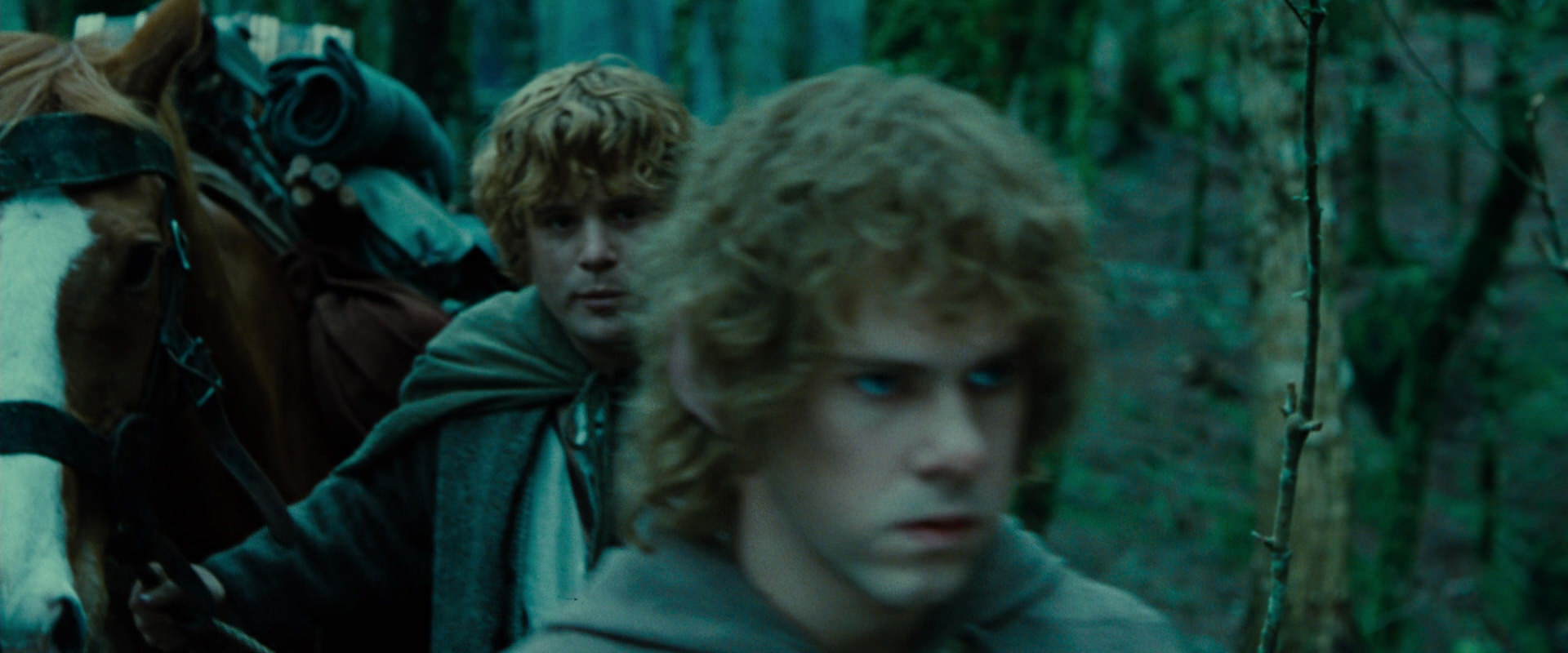 The Lord of the Rings: The Fellowship of the Ring (2001) HD screenshot 7679